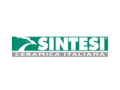 SINTESI